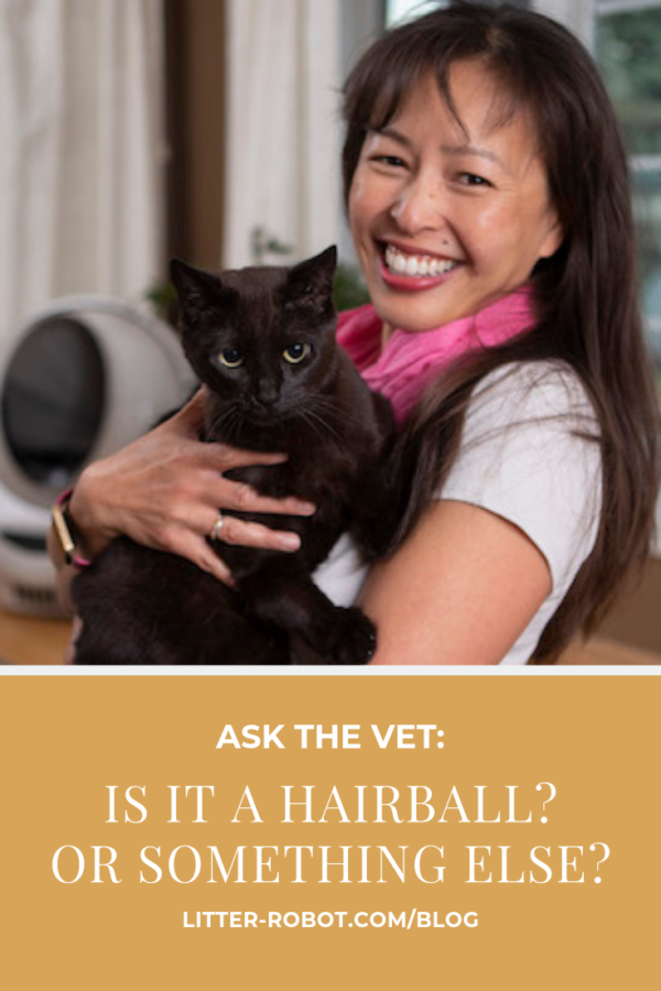 Dr. Justine Lee with black cat; is it a hairball or something else?