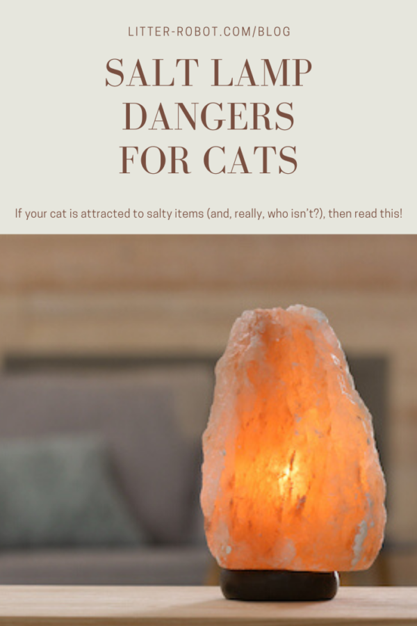salt lamp sitting on wood table; salt lamp dangers for cats