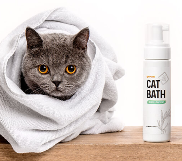 The Ultimate Kitten Supplies Checklist