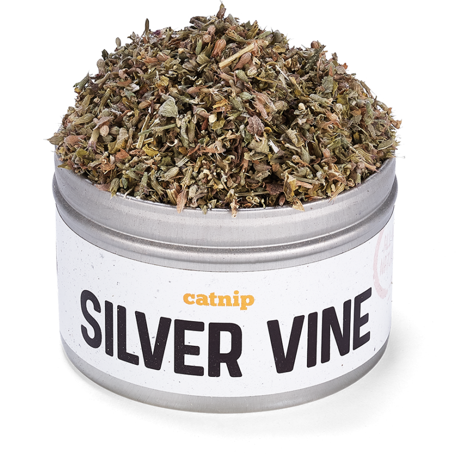 Litterbox.com Silver Vine tin - silver vine for cats