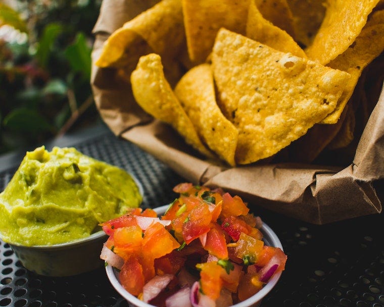 tortilla chips with bowl of guacamole and bowl of salsa - can cats eat guacamole?