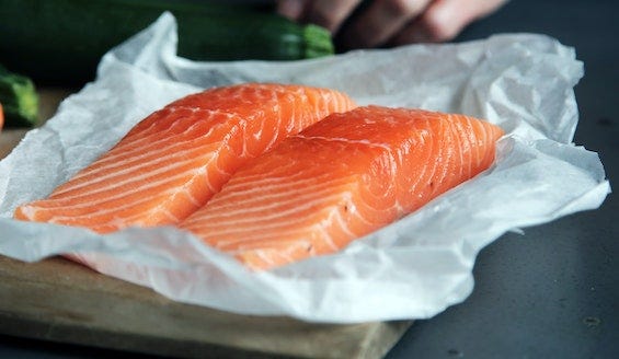 raw salmon filets - can cats eat salmon?