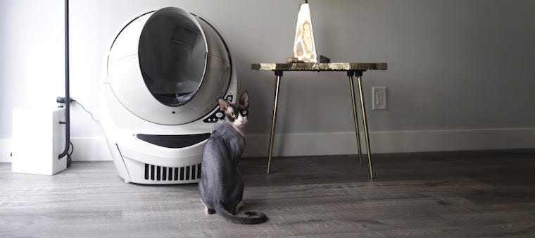 Have a Sphynx Cat? You Need a Litter-Robot
