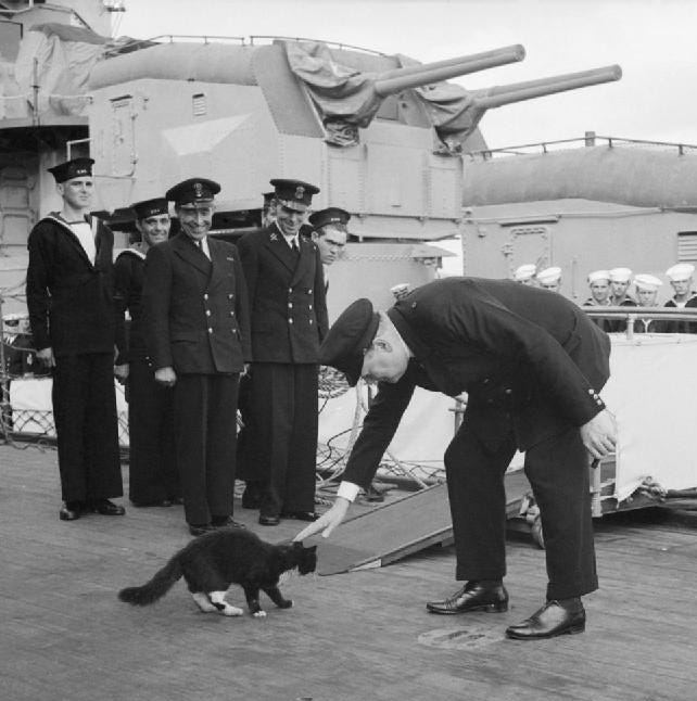Winston Churchill petting Blackie ship's cat