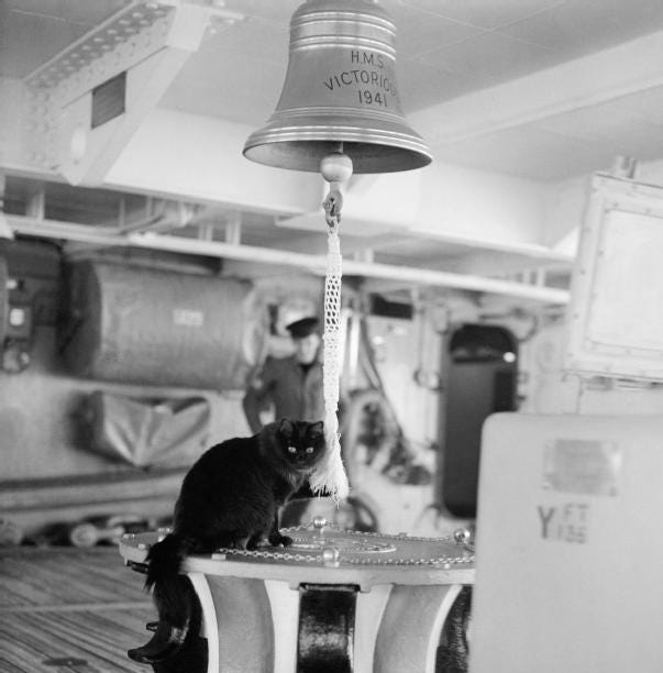 Black long-haired Tiddles ship's cat sitting near the bell rope
