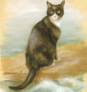 Portrait of black and white Unsinkable Sam ship's cat