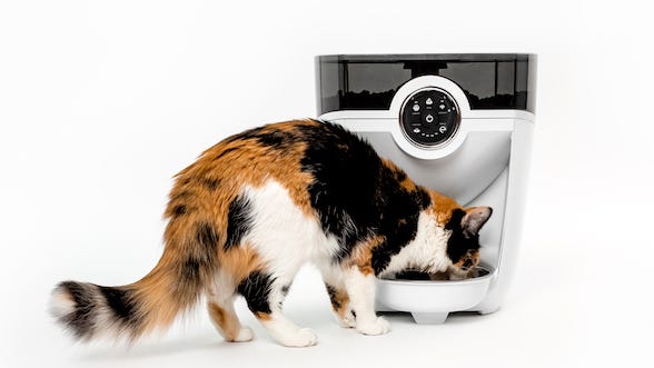 Calico cat eating from a white Feeder-Robot automatic cat feeder