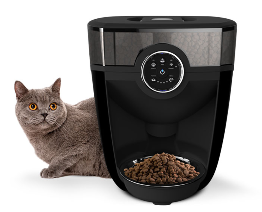 British shorthair cat with a black Feeder-Robot automatic cat feeder