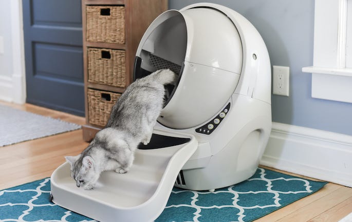 White cat walking out of a beige self-cleaning litter box Litter-Robot 3 Connect - why do cats bury their poop?