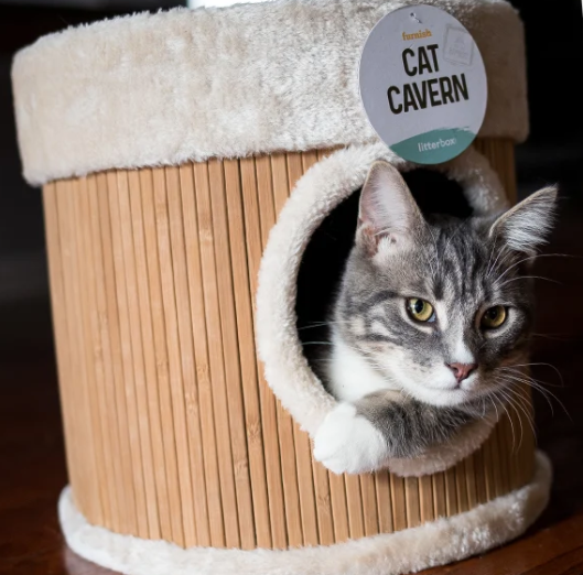 cozy cat beds - Litterbox.com bamboo cat cavern with grey tabby cat
