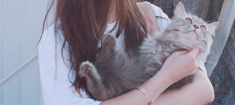 woman holding longhaired cat in arms