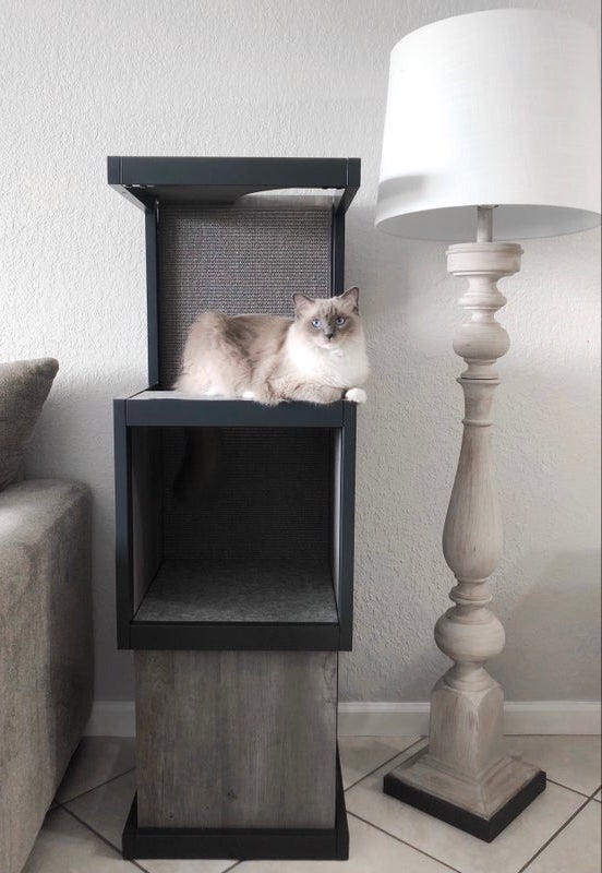 Ragdoll cat on a cat tower - how to keep cats from scratching furniture