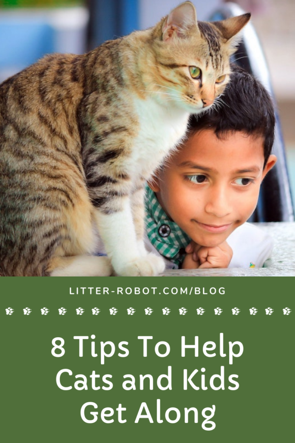 Calico tabby cat sitting with a boy - 8 tips to help cats and kids get along