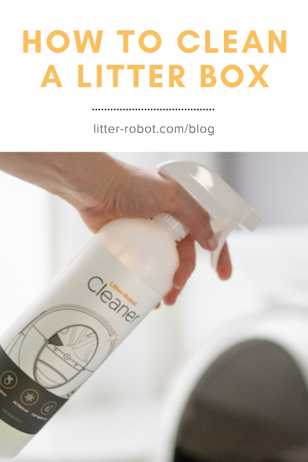 Hand holding Litter-Robot Cleaner Spray - how to clean a litter box