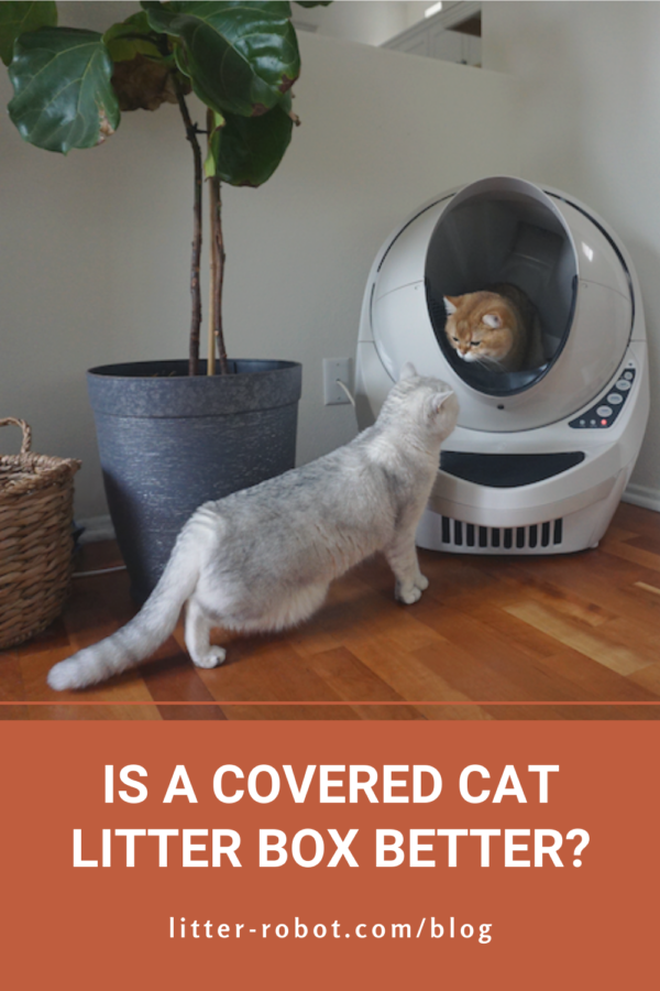 Orange cat inside Litter-Robot 3 Connect with white-grey cat watching - is a covered cat litter box better?