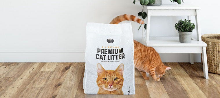 How Often to Change Cat Litter