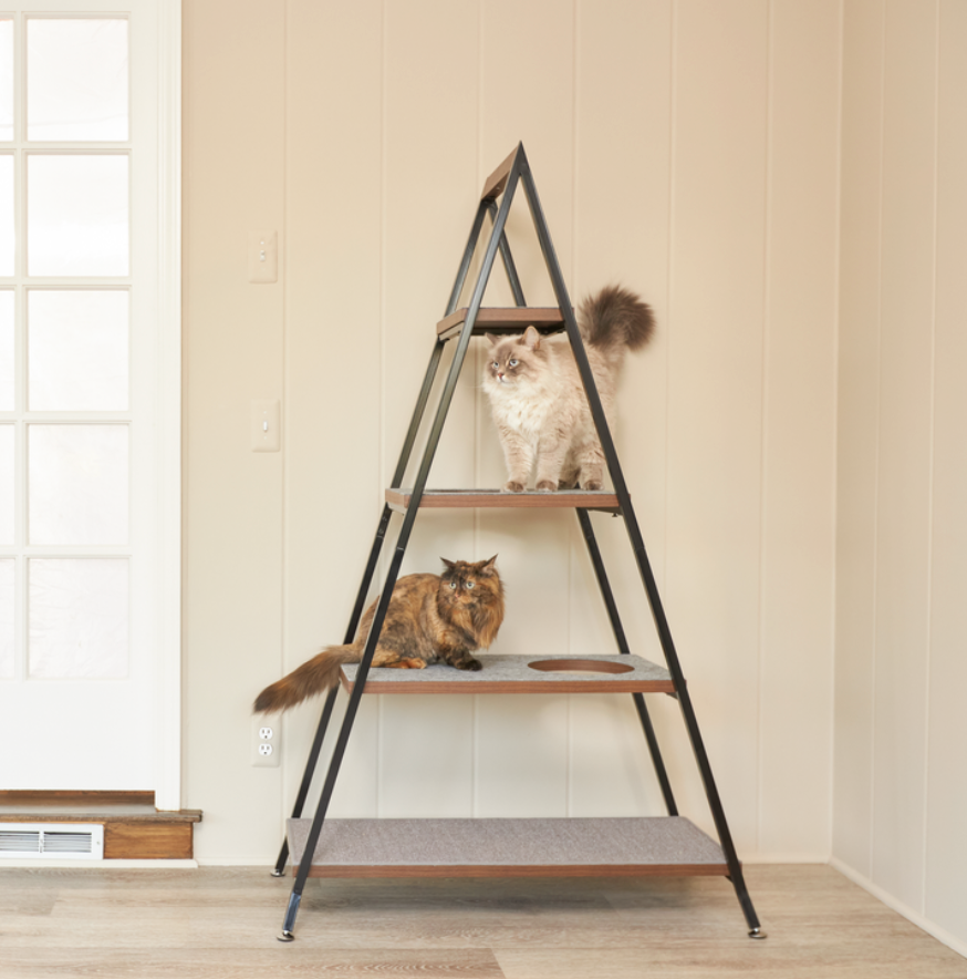 Two Siberian cats on cat pyramid - modern cat tree alternatives