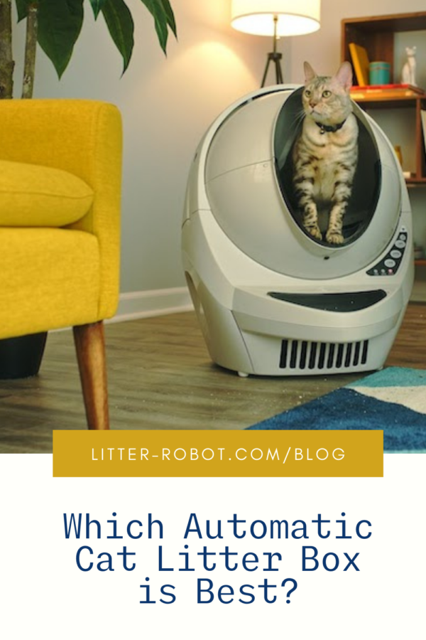 bengal cat in beige Litter-Robot 3 Connect - which automatic cat litter box is best?