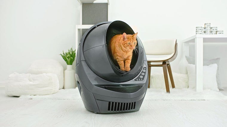 Kočka nepoužívá bednu? 5 řešení odpadkových schránek