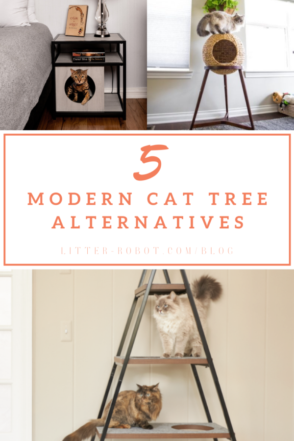 cats with modern cat tree alternatives