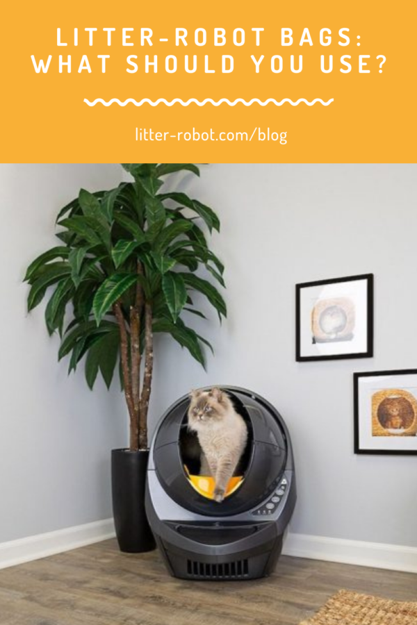 Siberian cat stepping over Litter-Robot fence - what Litter-Robot bags should you use?