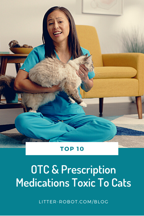 Dr. Justine Lee veterinarian holding long-haired cat - top 10 over-the-counter and prescription medications toxic to cats