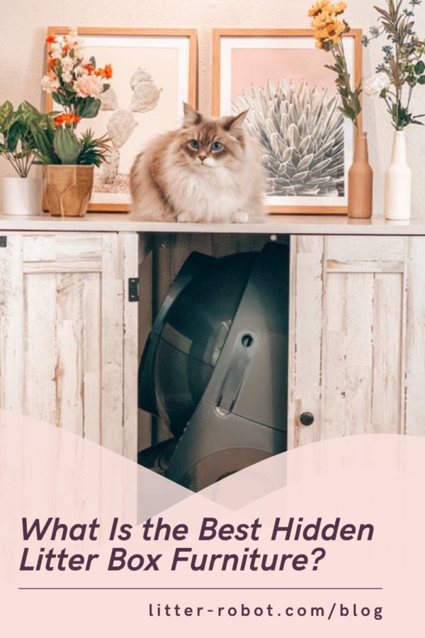 Longhaired cat on top of litter box credenza with Litter-Robot inside- what is the best hidden litter box furniture?