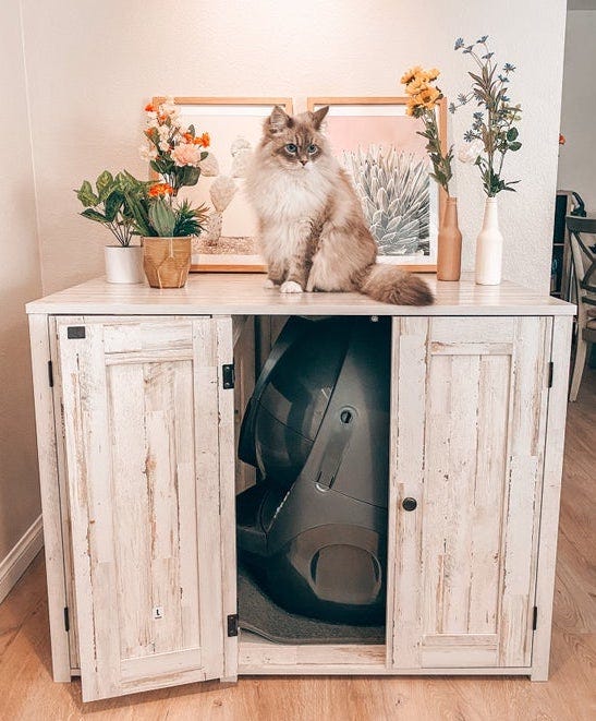Top 10 Cat Litter Box Placement Ideas