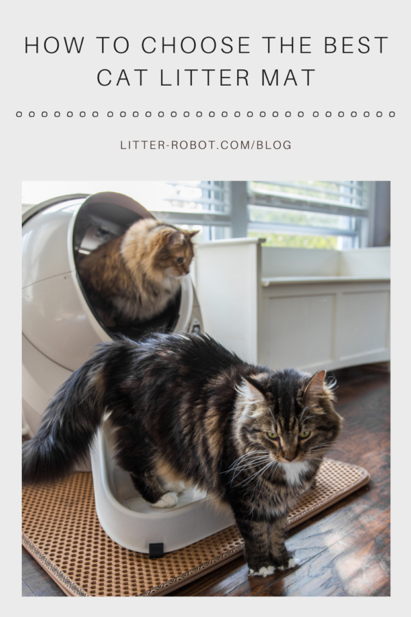 long-haired cat using a Litter-Robot while Maine Coon cat stands on ramp over cat litter mat - how to choose the best cat litter mat
