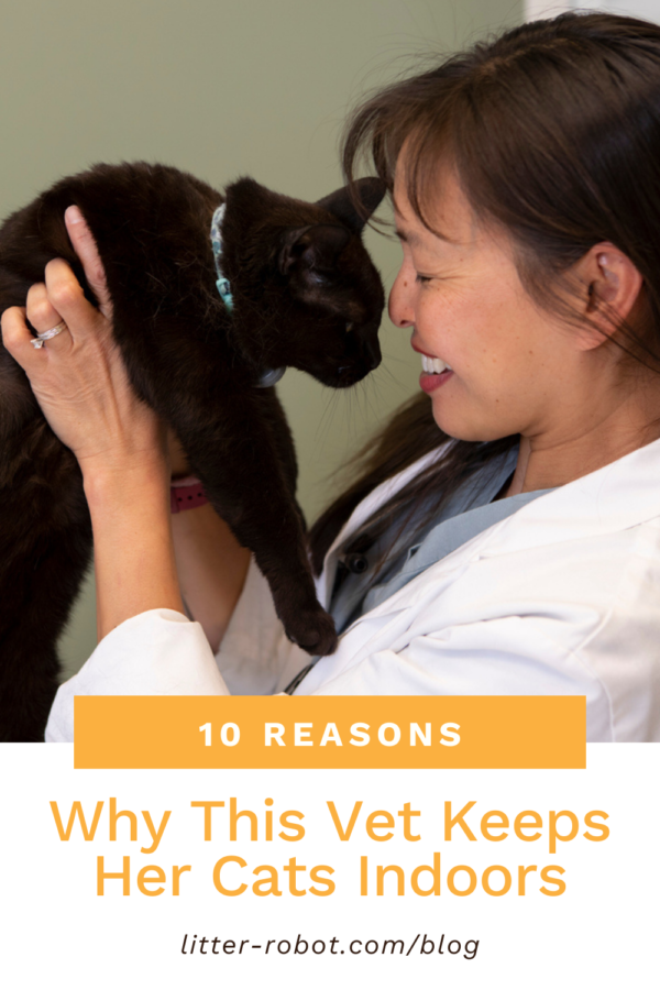 Dr. Justine Lee cuddling her black cat - 10 reasons why this vet keeps her cats indoors