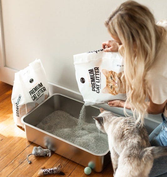woman pouring cat litter into stainless steel litter box - how much cat litter to use in a traditional scooping litter box