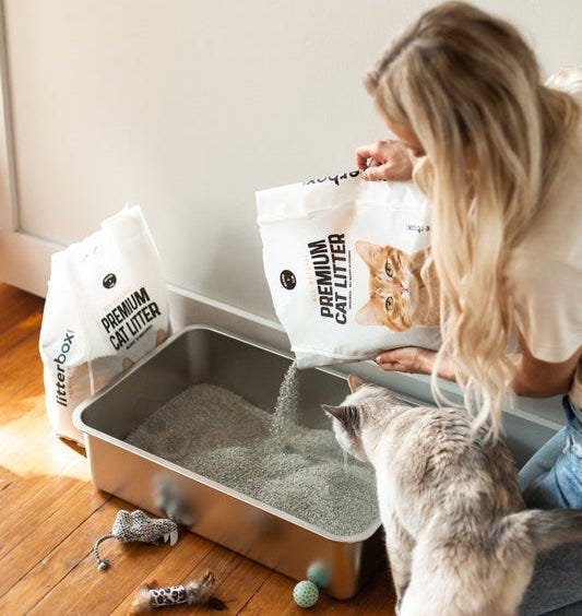How Much Litter In A Cat Box Gegu Pet