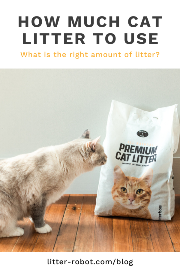 white domestic shorthair cat sniffing bag of premium cat litter by Litterbox.com - how much cat litter to use