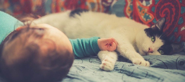 Baby laying next to black and white cat