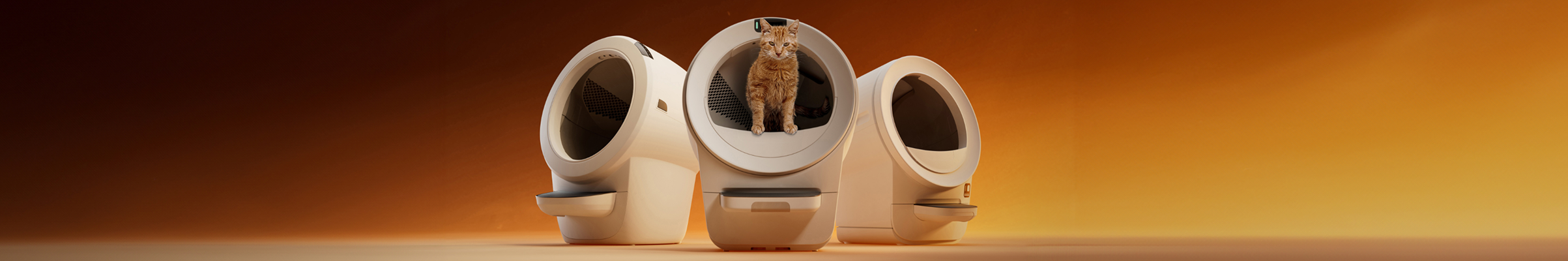 orange cat using new Litter-Robot models launched in Canada