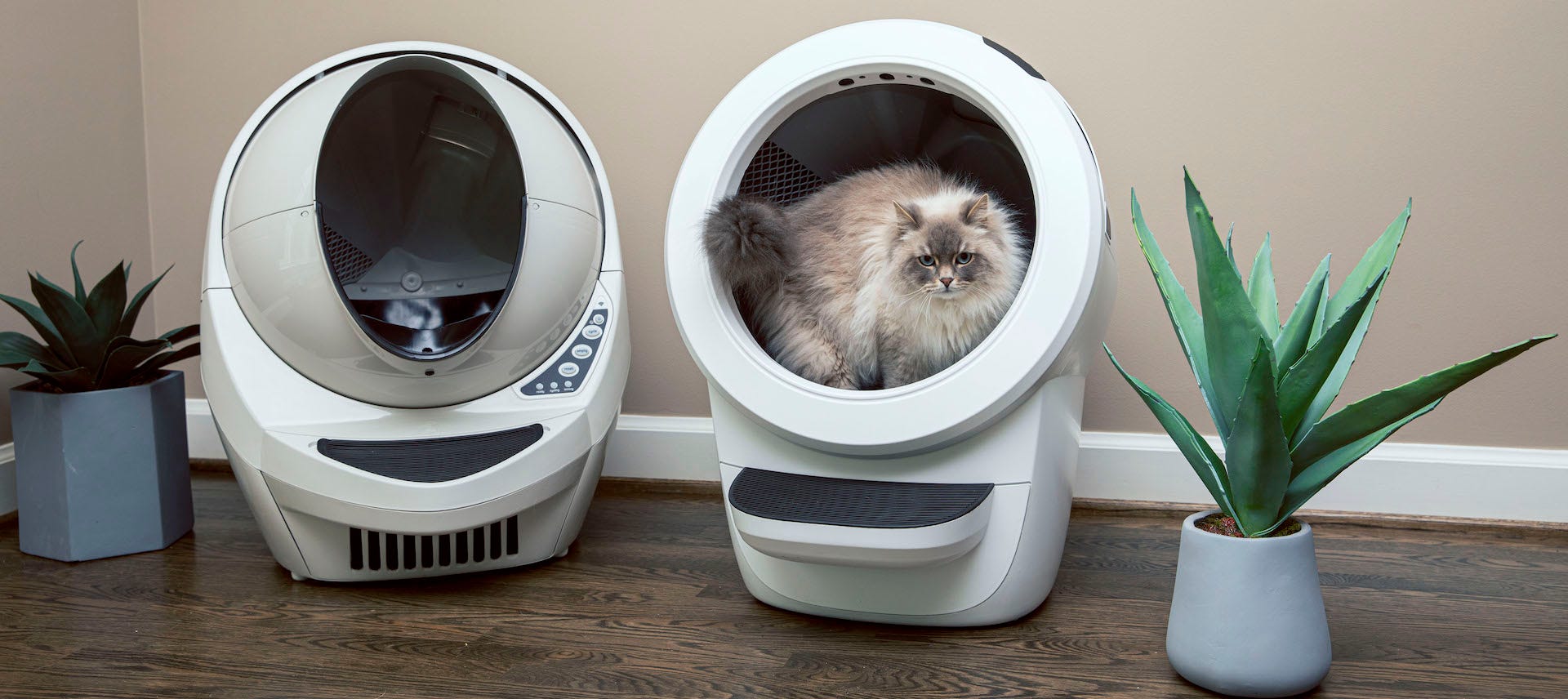 Litter-Robot 3 Connect and Litter-Robot 4 with cat inside