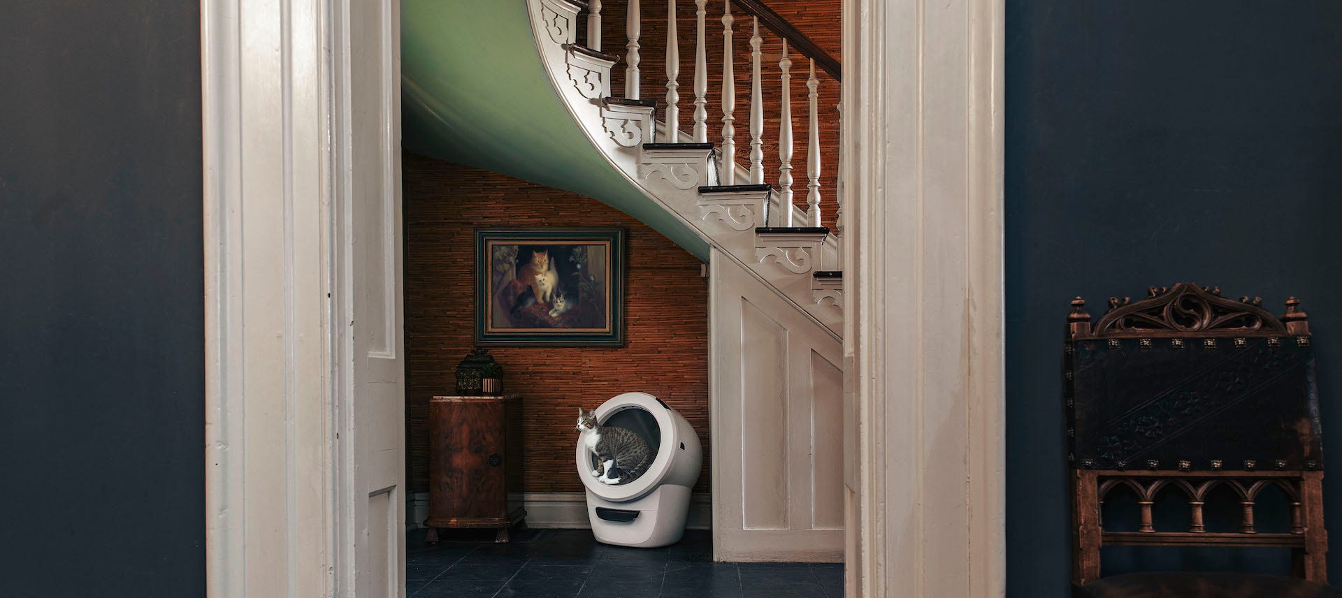 tabby cat using Litter-Robot 4 under grand staircase