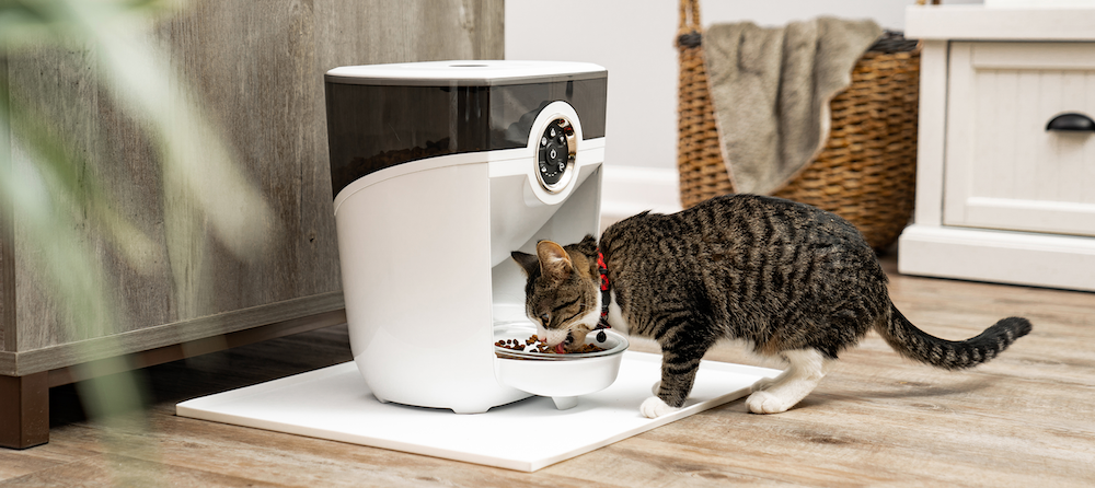 Cat Food Puzzles: How They Benefit Your Cat