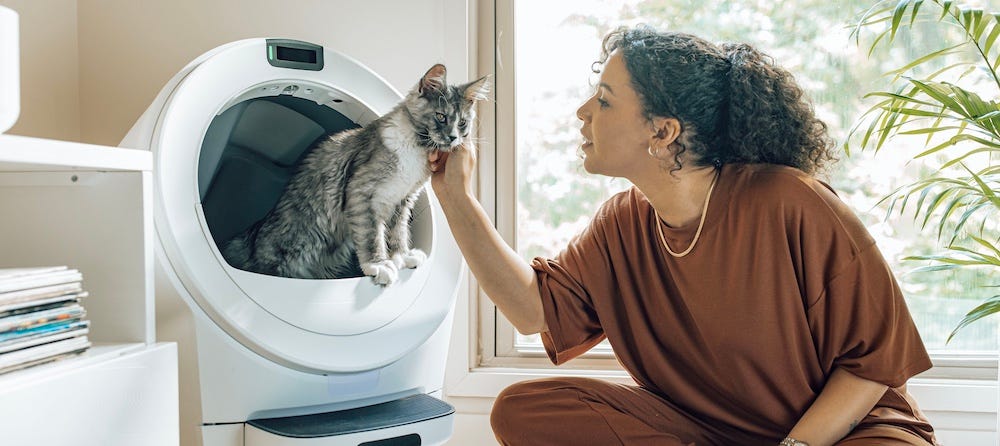 woman petting cat in Litter-Robot 5 HSA/FSA eligible automatic litter box