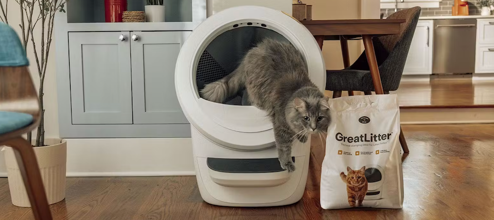 cat in self-cleaning litter box with best litter for Litter-Robot