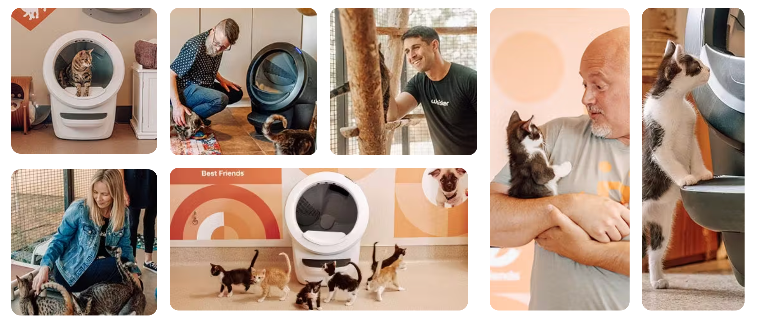 Whisker Litter-Robot Best Friends Animal Society partnership