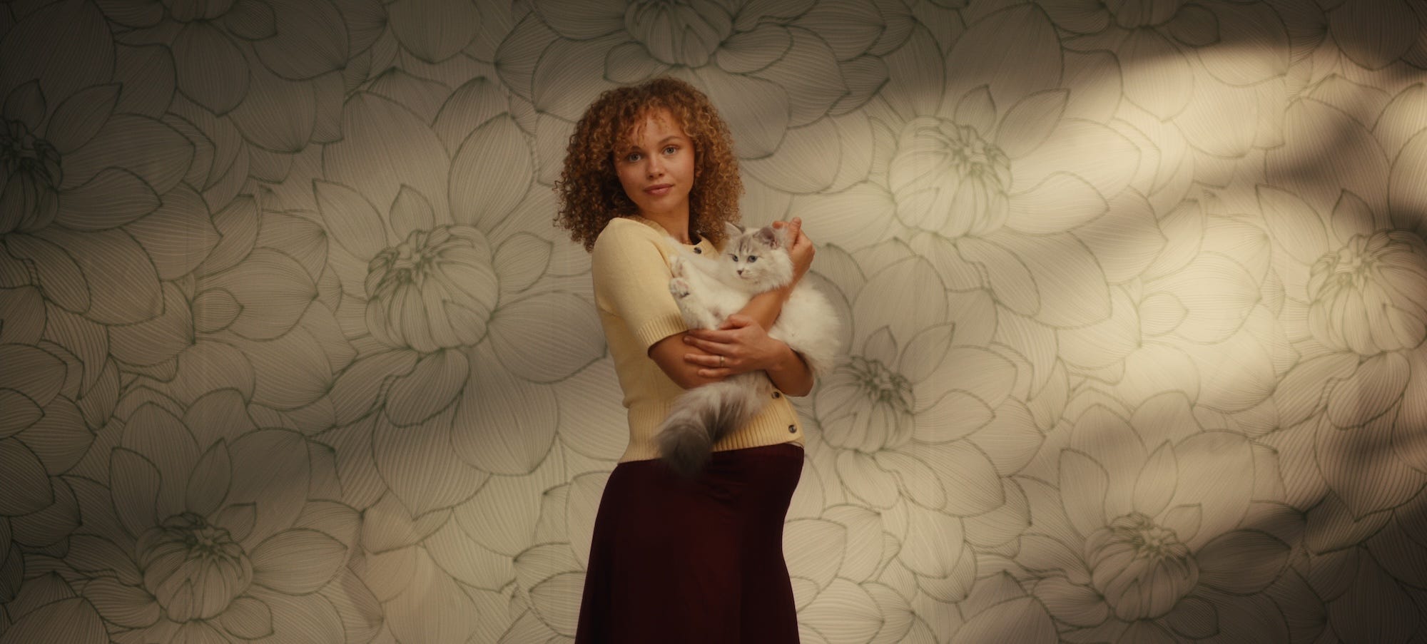 grey cat lying on pregnant woman's legs