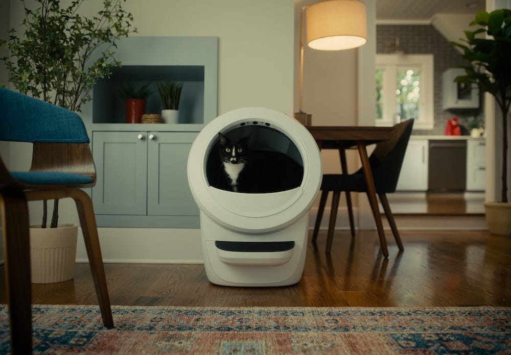 Is a Covered Litter Box Better? LitterRobot