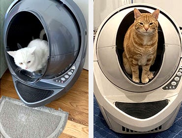 Cats inside Litter-Robots