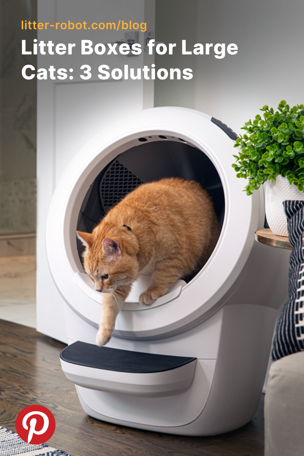 litter boxes for large cats pinterest pin