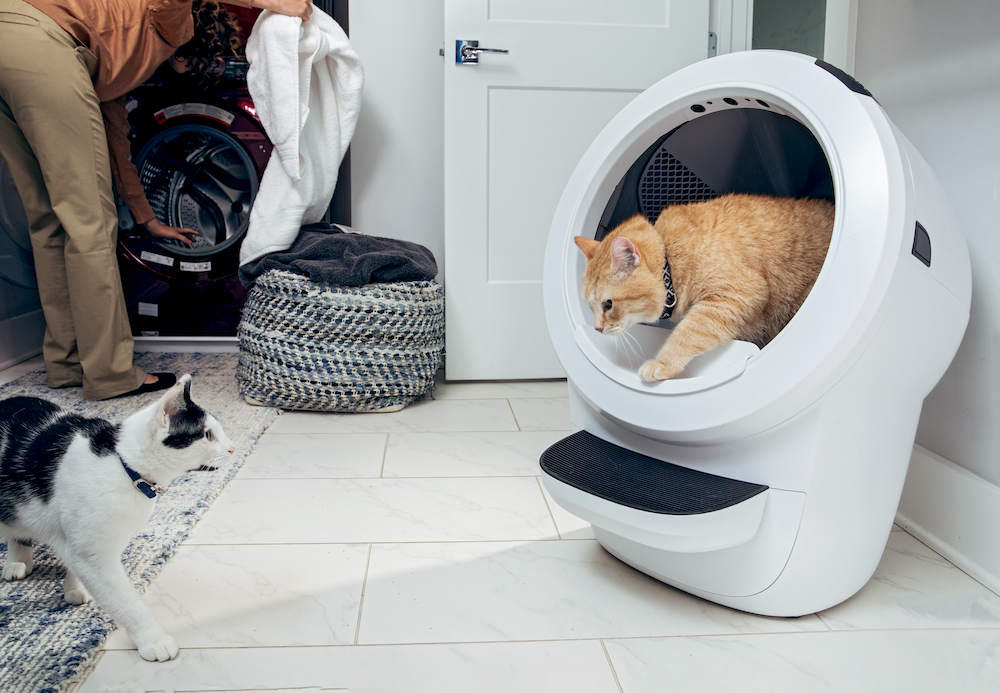 multiple cats with self-cleaning litter box, Litter-Robot 4