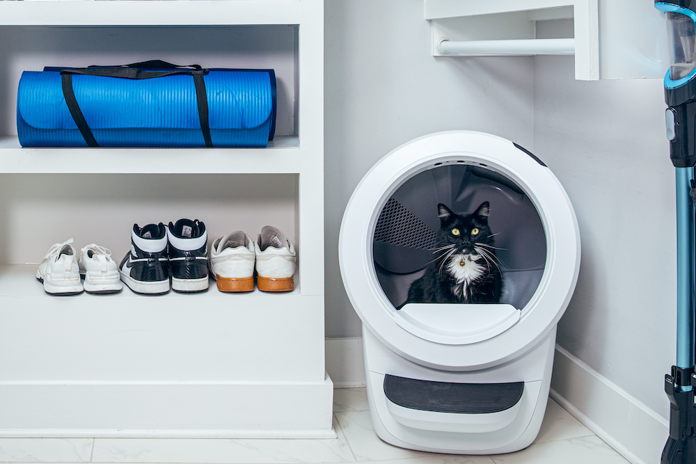tuxedo cat using self-cleaning litter box in mud room