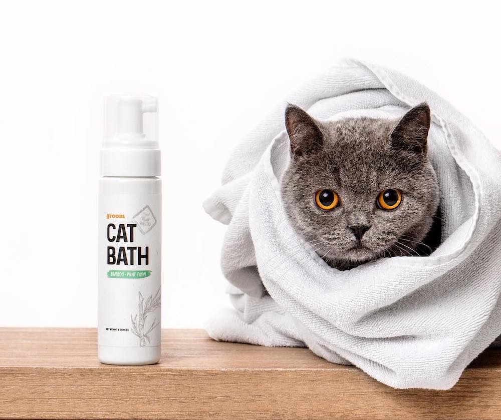 How To Give a Cat a Bath LitterRobot