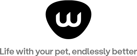 Whisker Blog