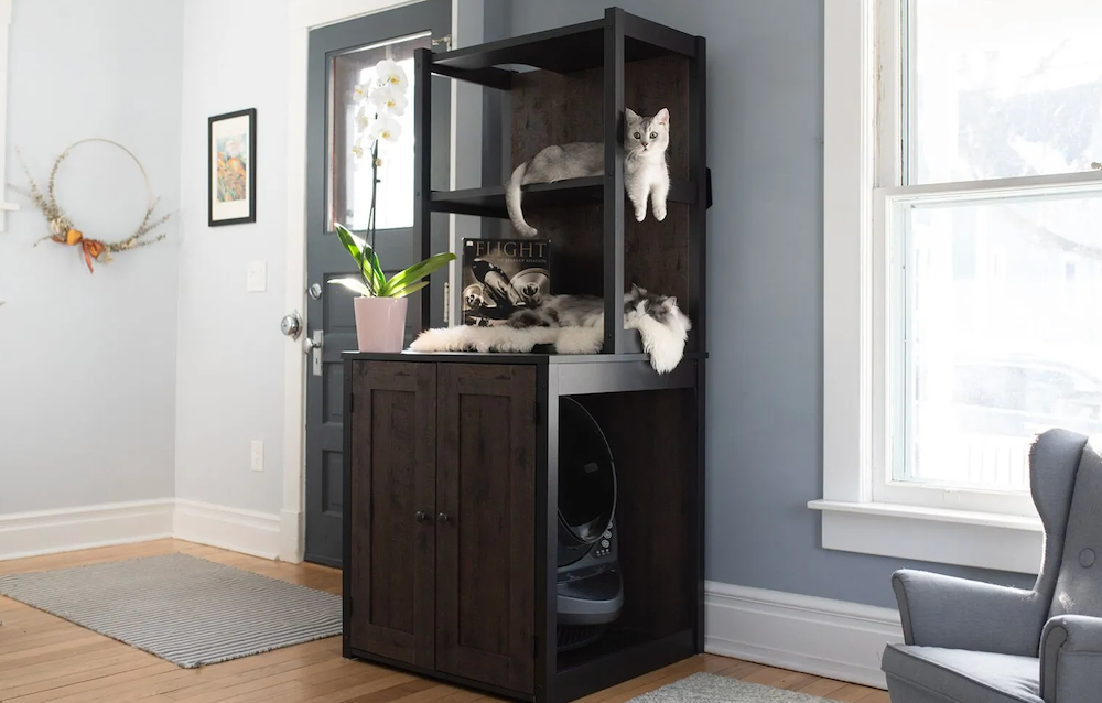 two cats using litter box storage cabinet